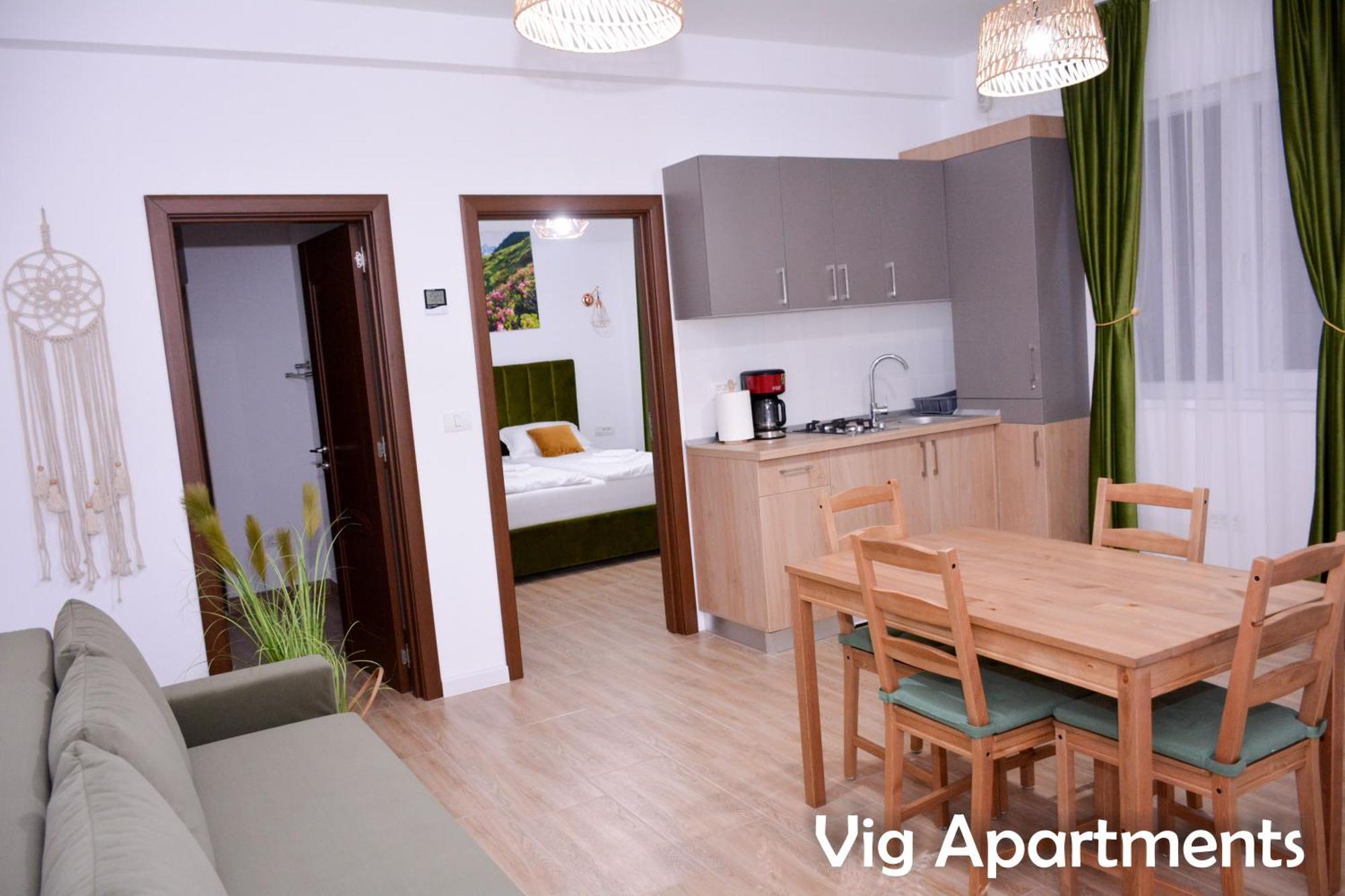 Vig Apartments Тимишоара Экстерьер фото
