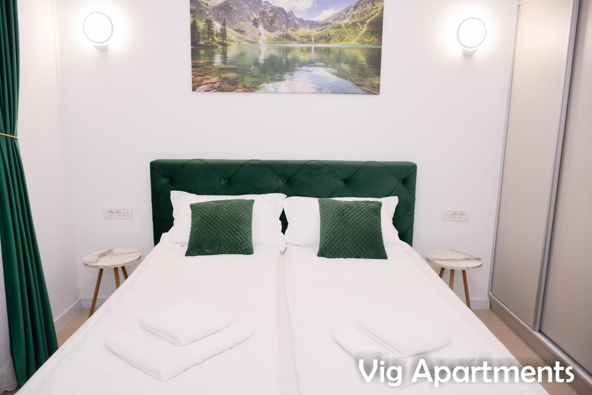 Vig Apartments Тимишоара Экстерьер фото